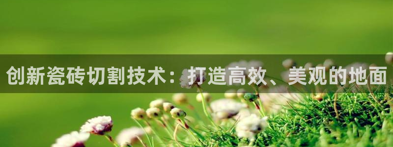 胡和记官网