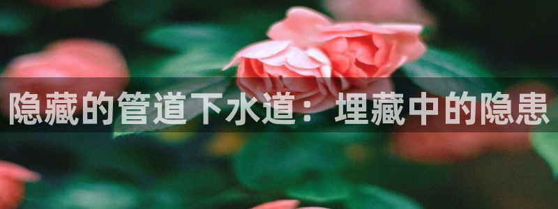 香港和记黄埔官网