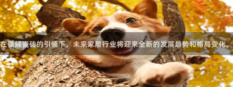 香港和记电讯公司官网