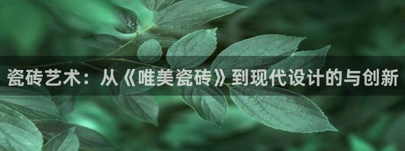印尼和记官网