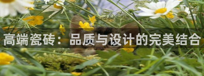 和记官网h88