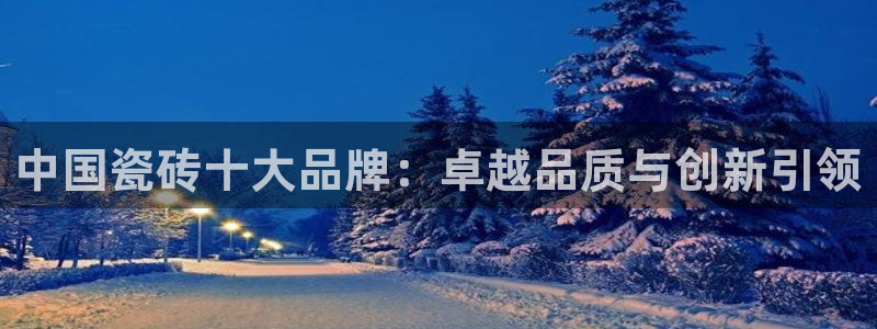 和记国际平台官网