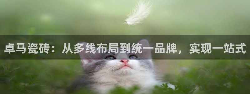 和记官网充值