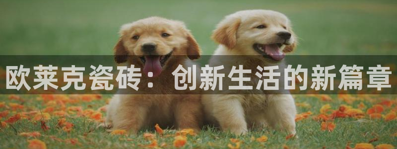 香港和记黄埔官网