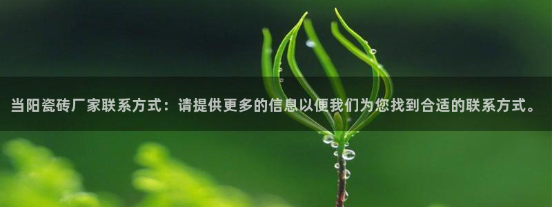 和记怡情博物官网