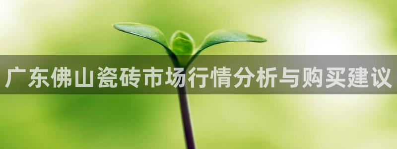 和记黄埔上海官网