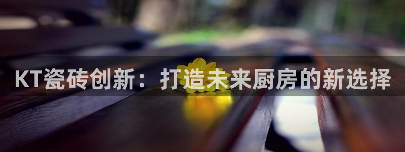 和记娱永久h88285官网