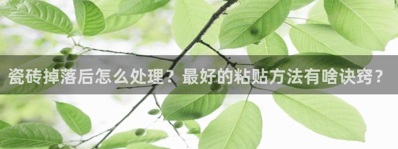 和记官网开户