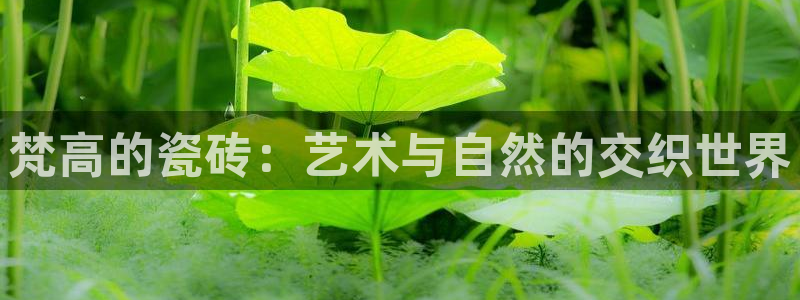 和记h188官网