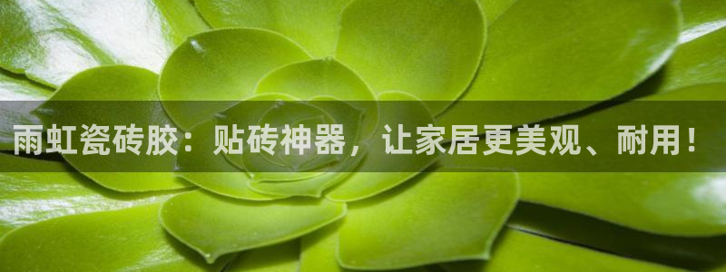 和记官网娱乐场