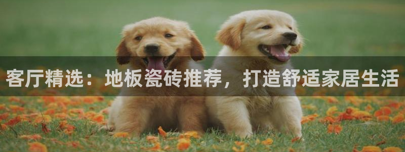 和记怡情博物官网