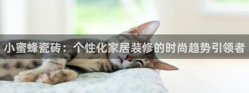 和记港口官网