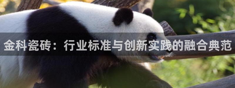 和记国际官网电话