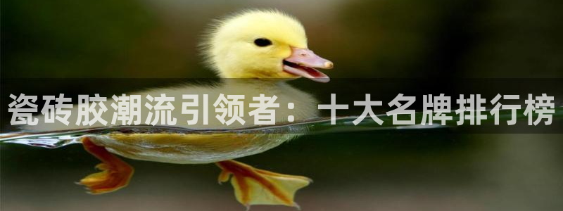 和记电讯APP官网充值