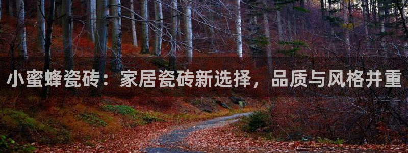 和记h88game官网