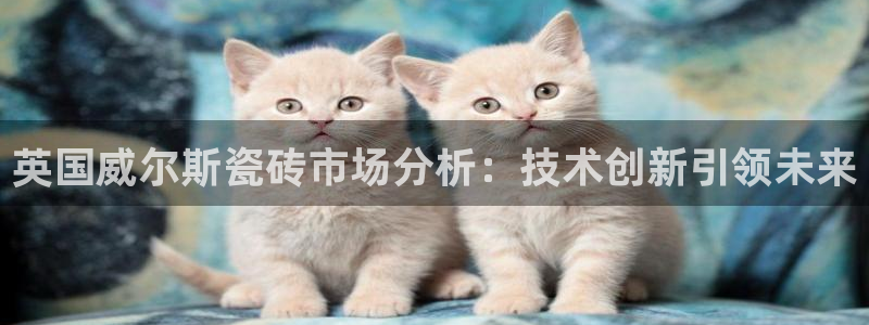 广州和德记官网