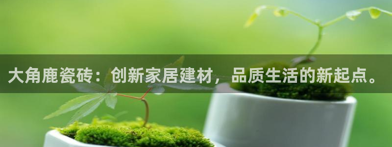和记官网地址
