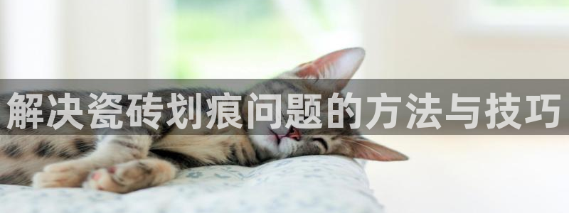 和记手机版官网