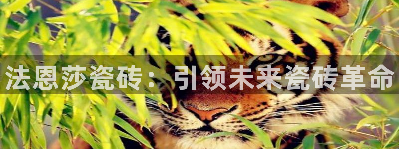 和记黄埔官网攻略