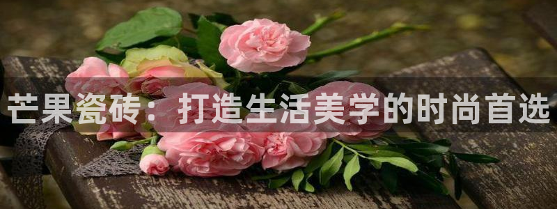 和记娱等级h88285官网