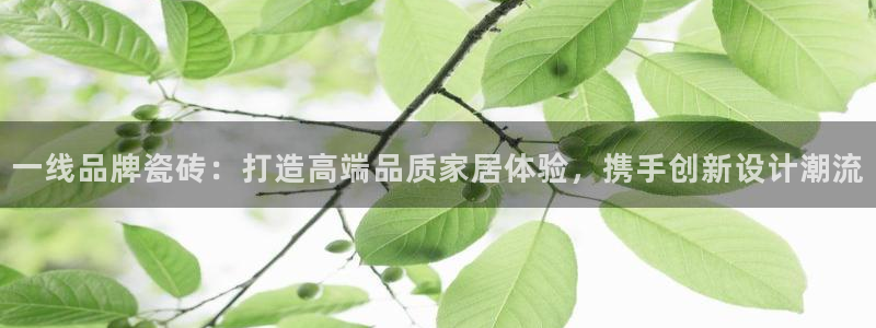 和记娱乐平台官网