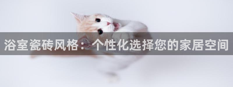 上海和记官网