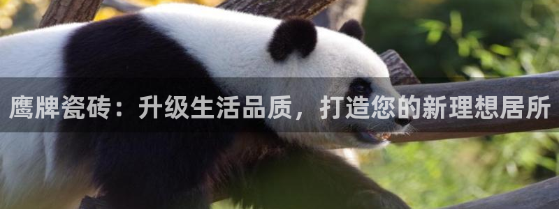 香港和记官网