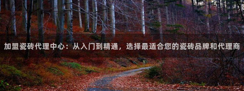 和记官网开户 银博网