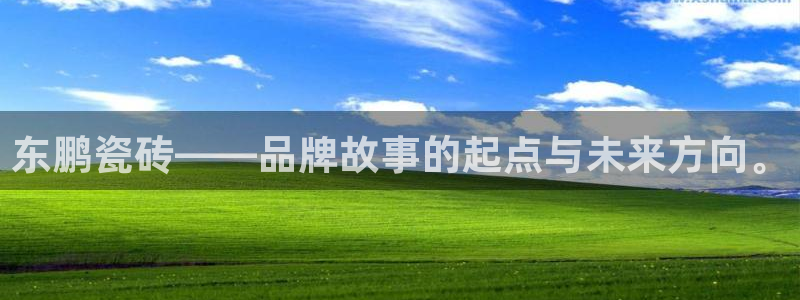 下载和记官网