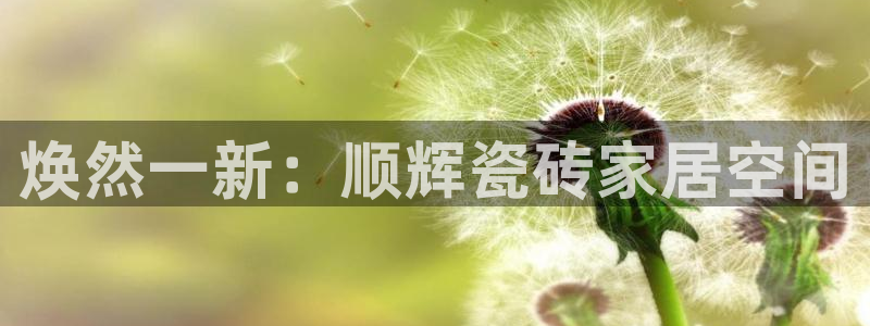和记国际平台官网