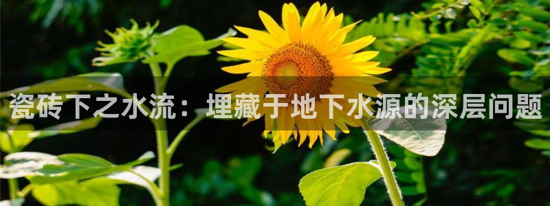 h88和记官网登录