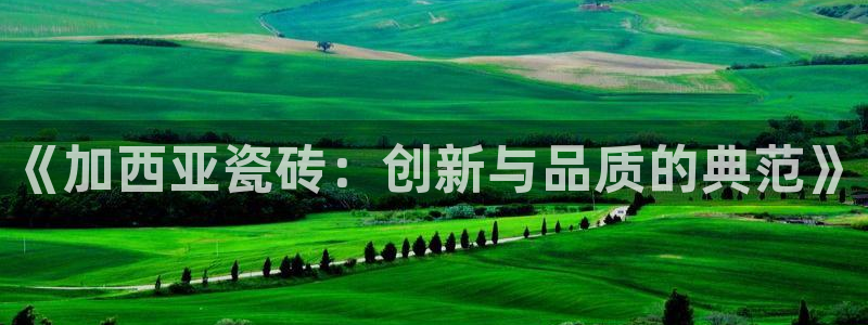 和记官网平台