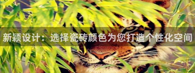 澳门和记官网娱乐场