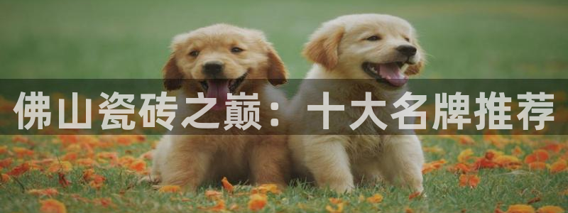 和记电讯three官网