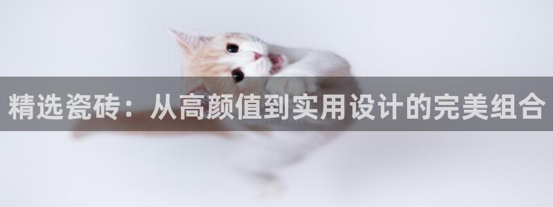 成都和记公司官网