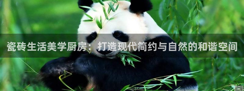 白云 和记黄埔官网电话