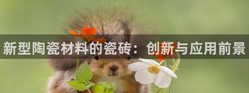 和记娱等级h88285官网