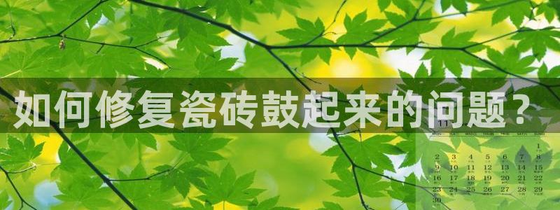 和记官网登录