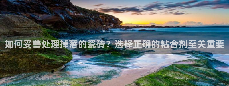 h88和记官网