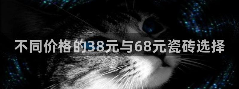 和记h188怡情官网