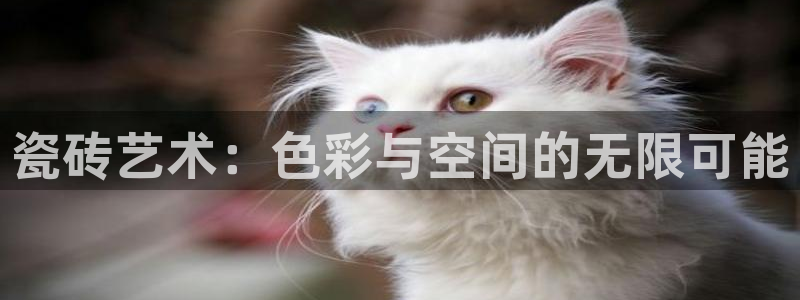 和记娱可信赖h88285官网