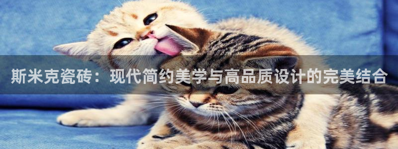 澳门和记客服官网