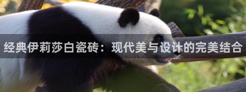和记万佳国际家居城官网