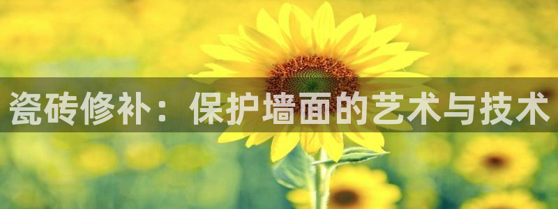 和记洋行官网