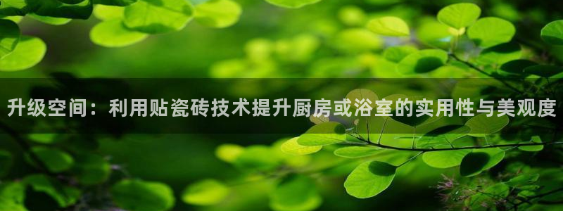 和记3官网