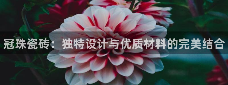 和记黄埔公司官网