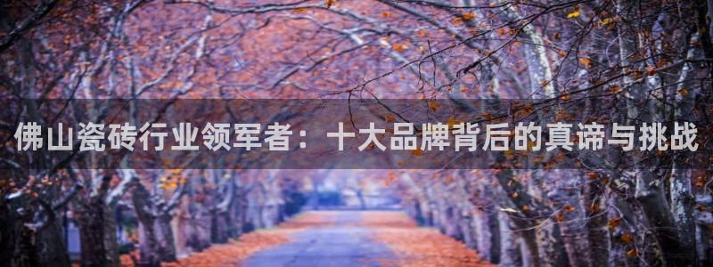 和记万佳国际家居城官网