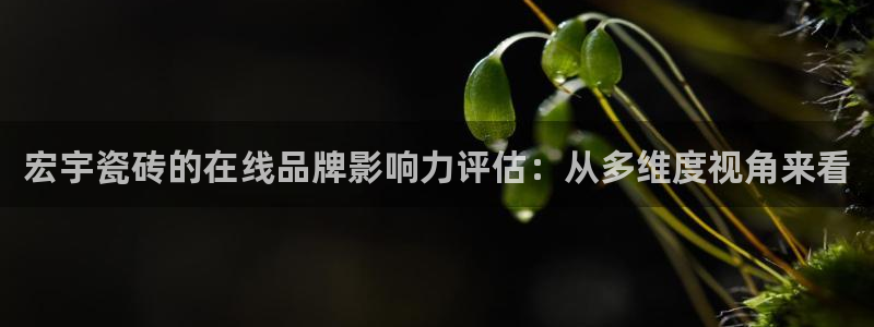 和记娱乐h88官网