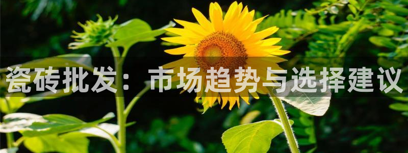 和记官网客户端