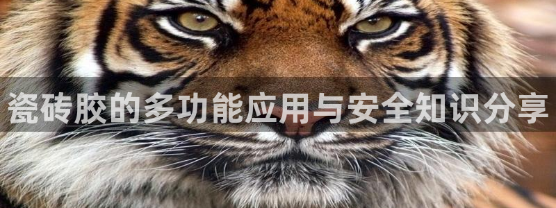 和记娱乐怡情博娱官网